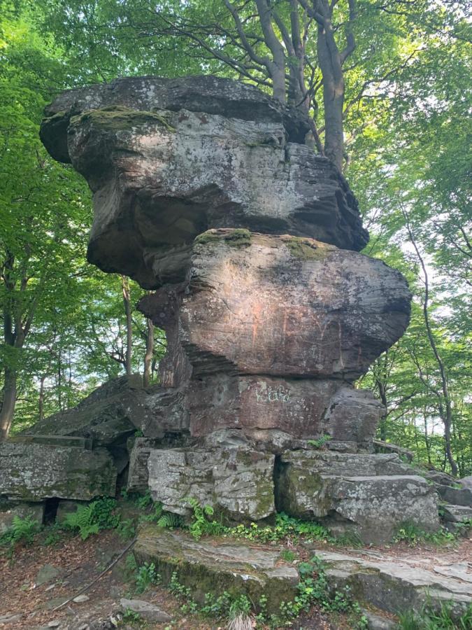 Schronisko Gorskie Pttk Na Jaworzynie Krynickiej Krynica-Zdrój Extérieur photo
